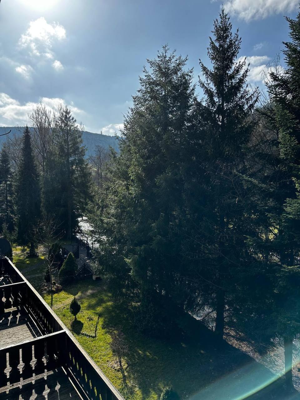 Schwanen-Resort Baiersbronn Extérieur photo