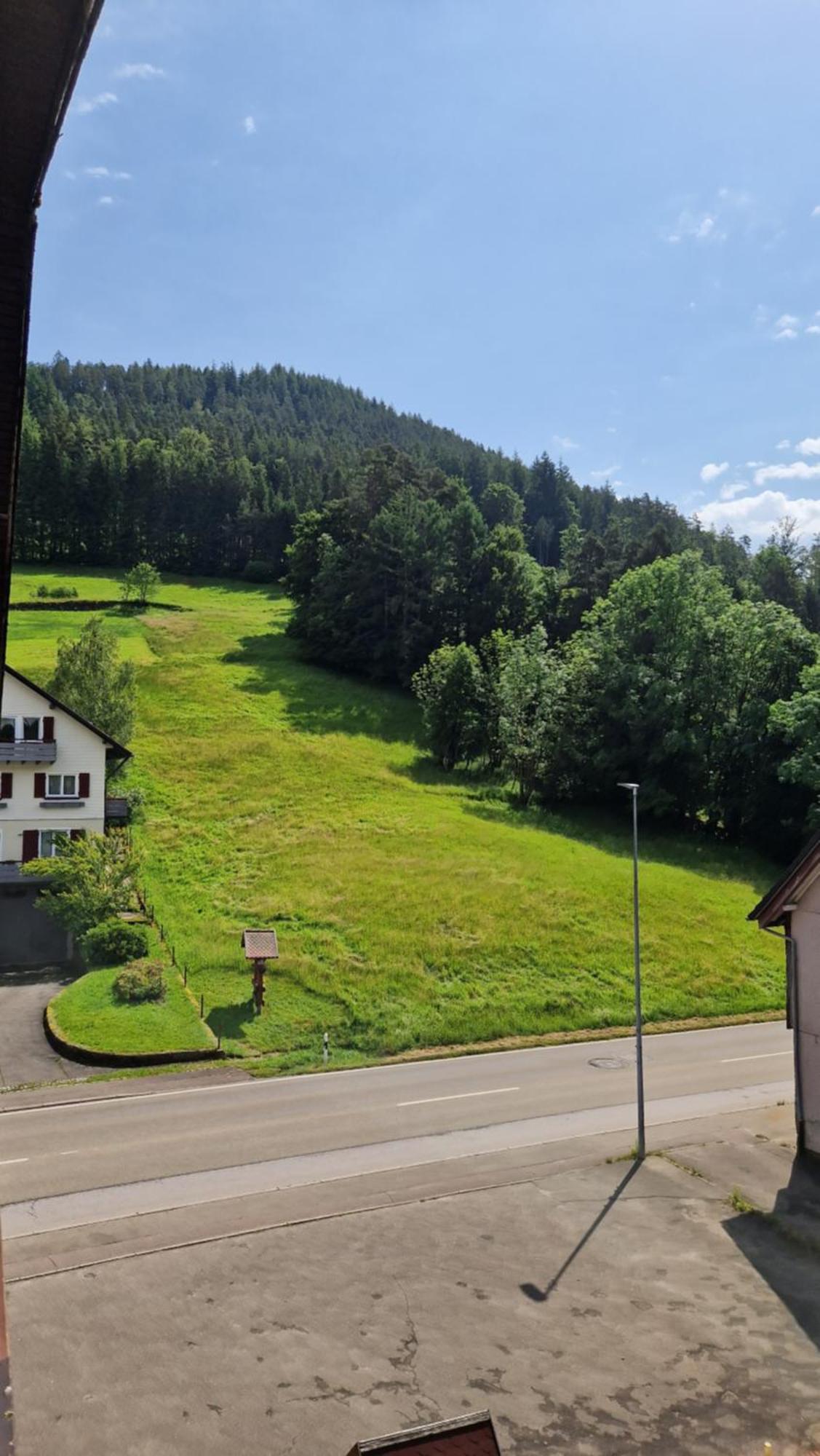 Schwanen-Resort Baiersbronn Extérieur photo