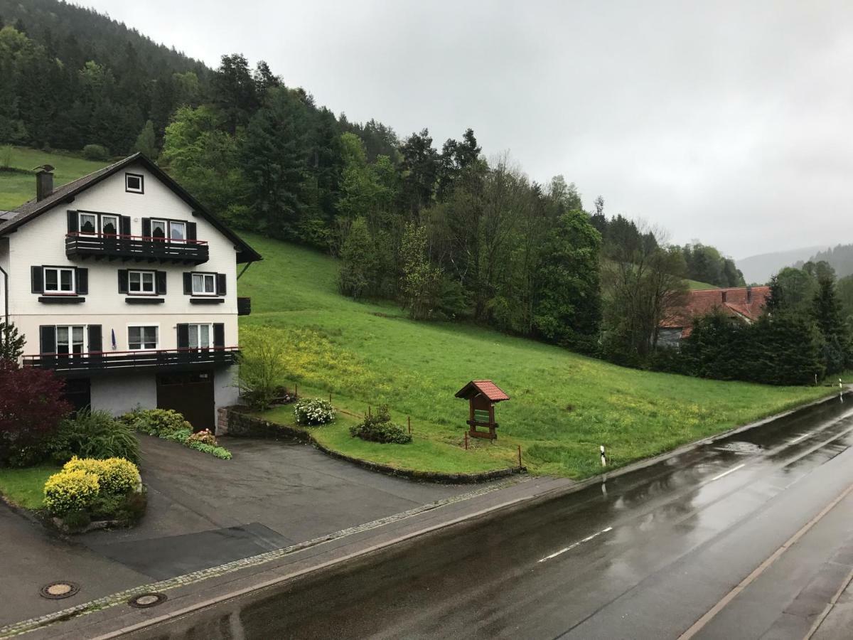 Schwanen-Resort Baiersbronn Extérieur photo